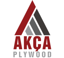 logo-2